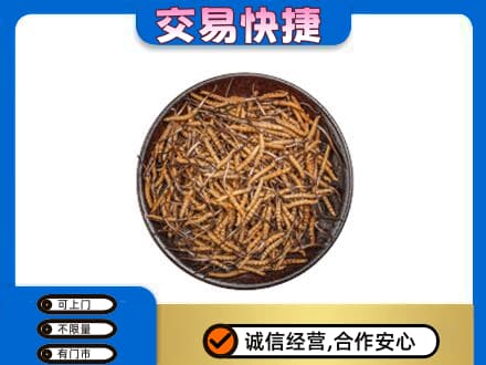 漳州礼品回收虫草.jpg